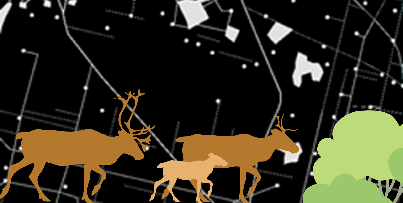 2020 - Anthropogenic disturbance footprint in boreal caribou ranges in Canada Graphical images of three caribou walking in front of a map depicting anthropogenic disturbance.