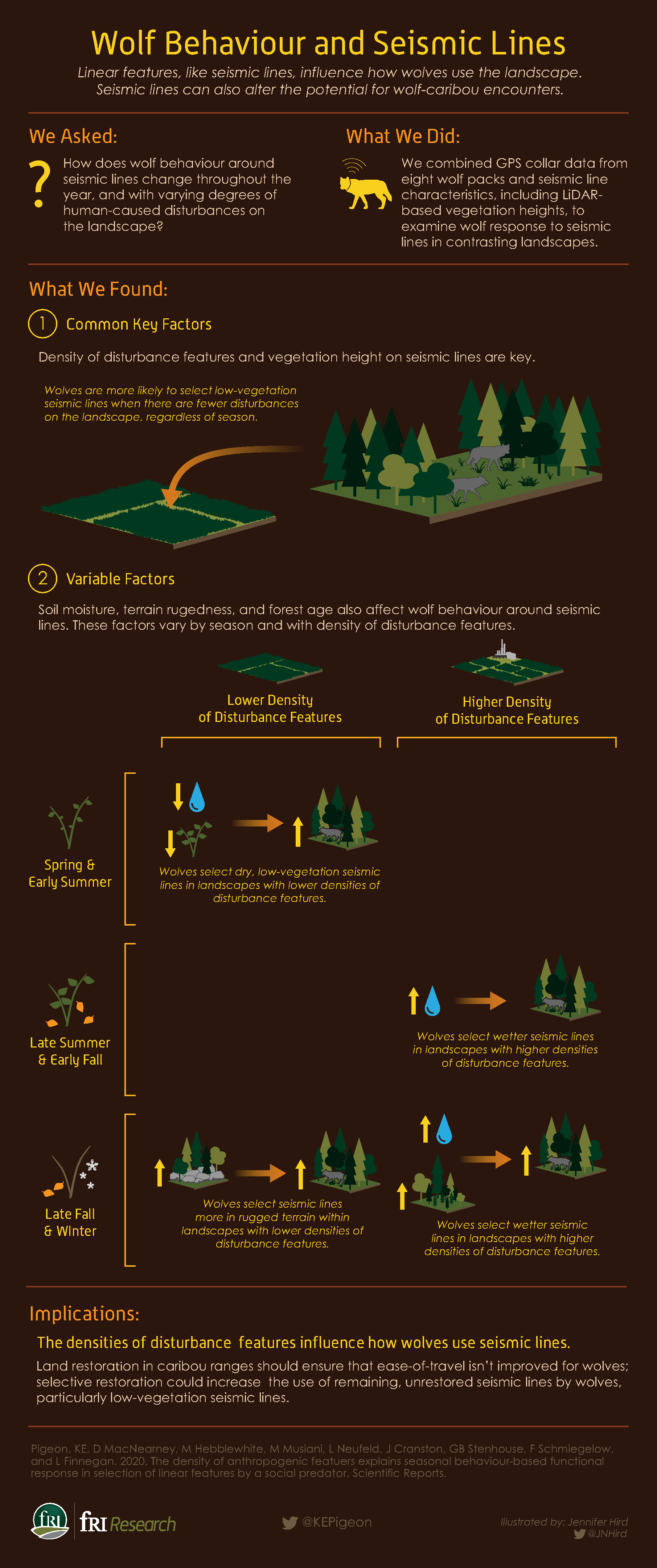 Wolf behaviour and seismic lines infographic