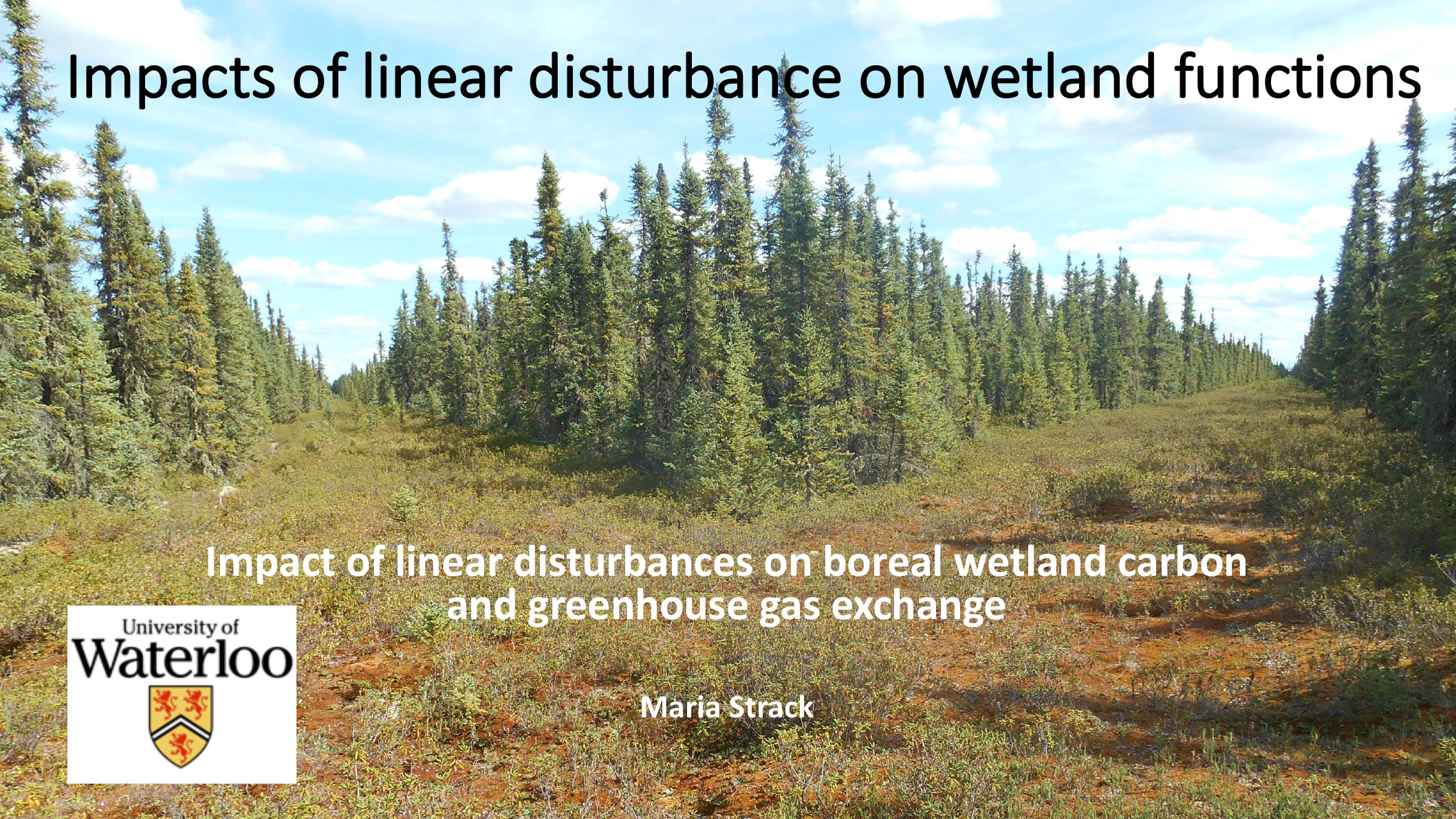 Impact of Linear Disturbances on Boreal Wetland Carbon and Greenhouse ...